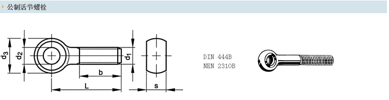 公制活节螺栓 DIN444B